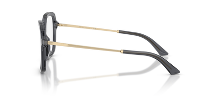 JIMMY CHOO JC3061U 5106 55