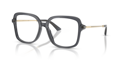 JIMMY CHOO JC3061U 5106 55