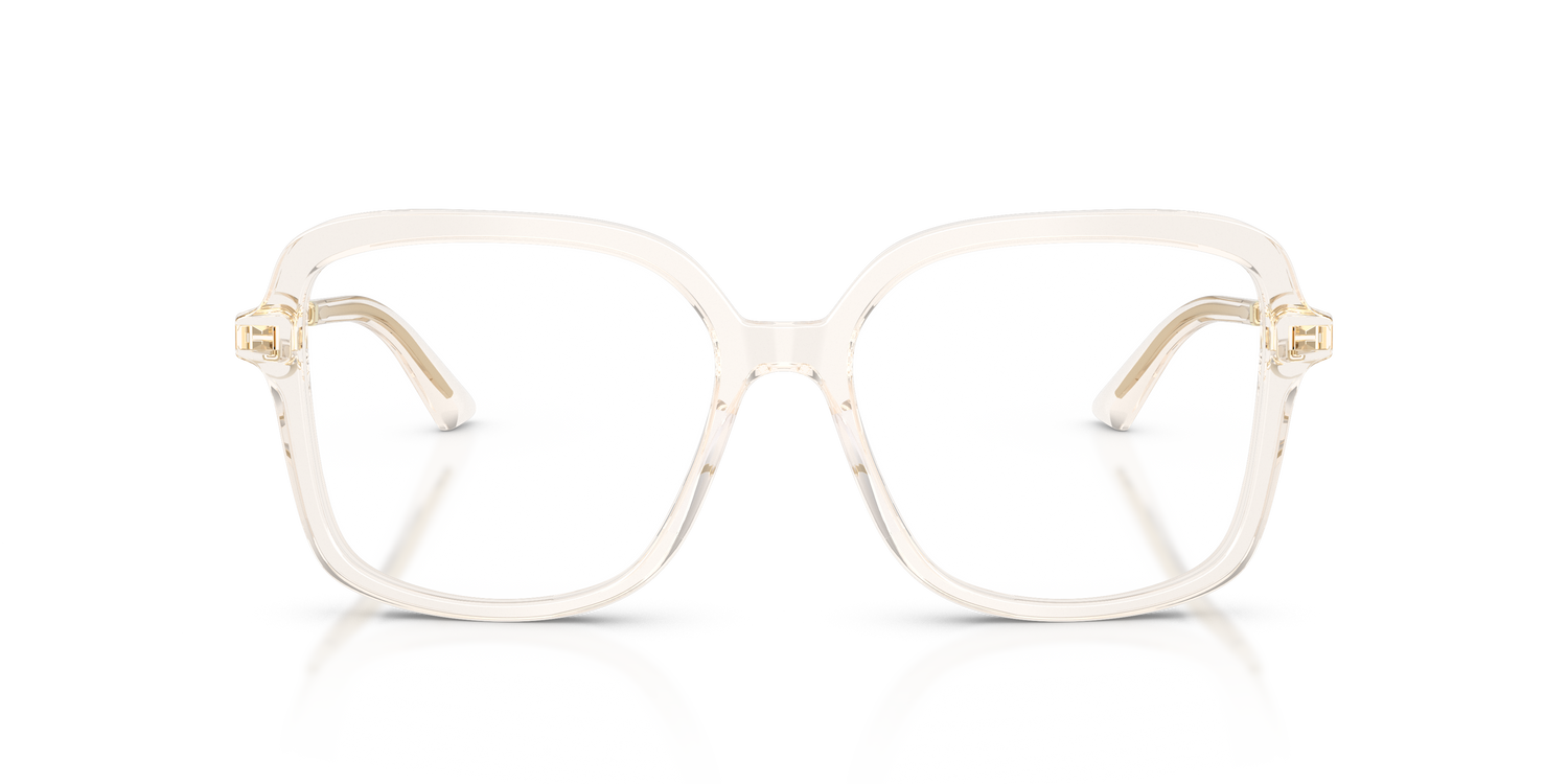 JIMMY CHOO JC3061U 5107 53