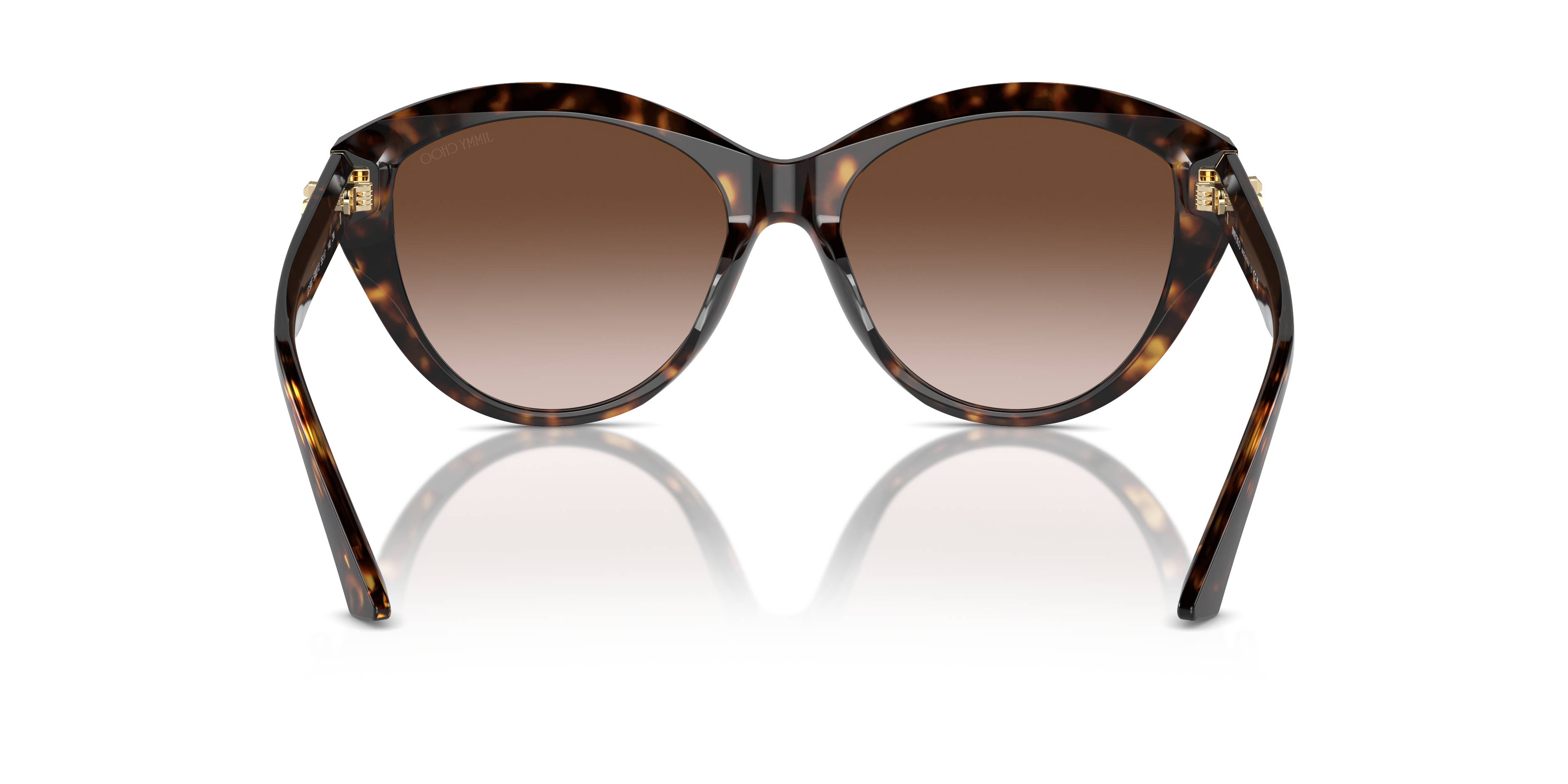 JIMMY CHOO JC5007 500213 55