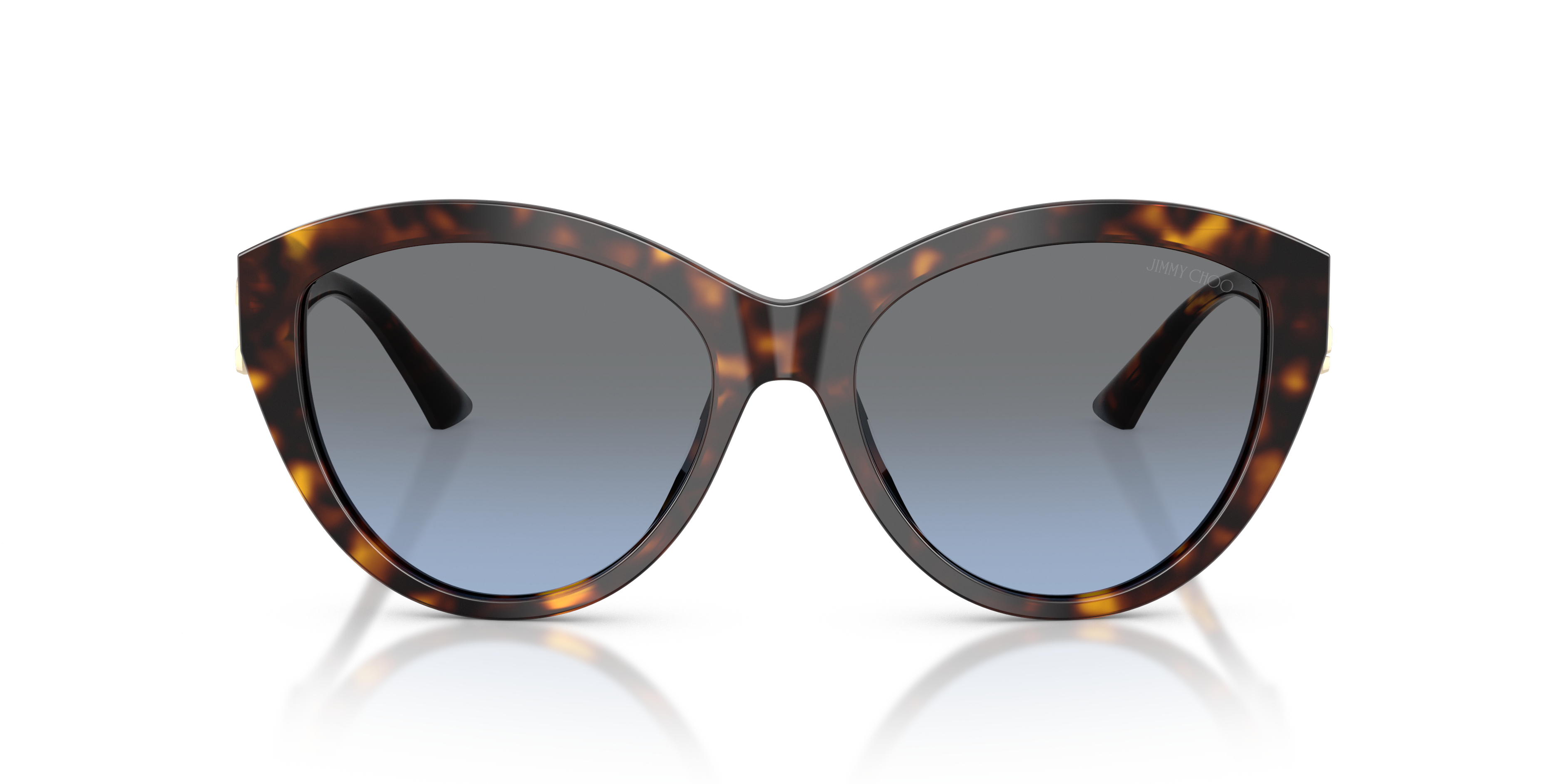 JIMMY CHOO JC5007 50028F 55