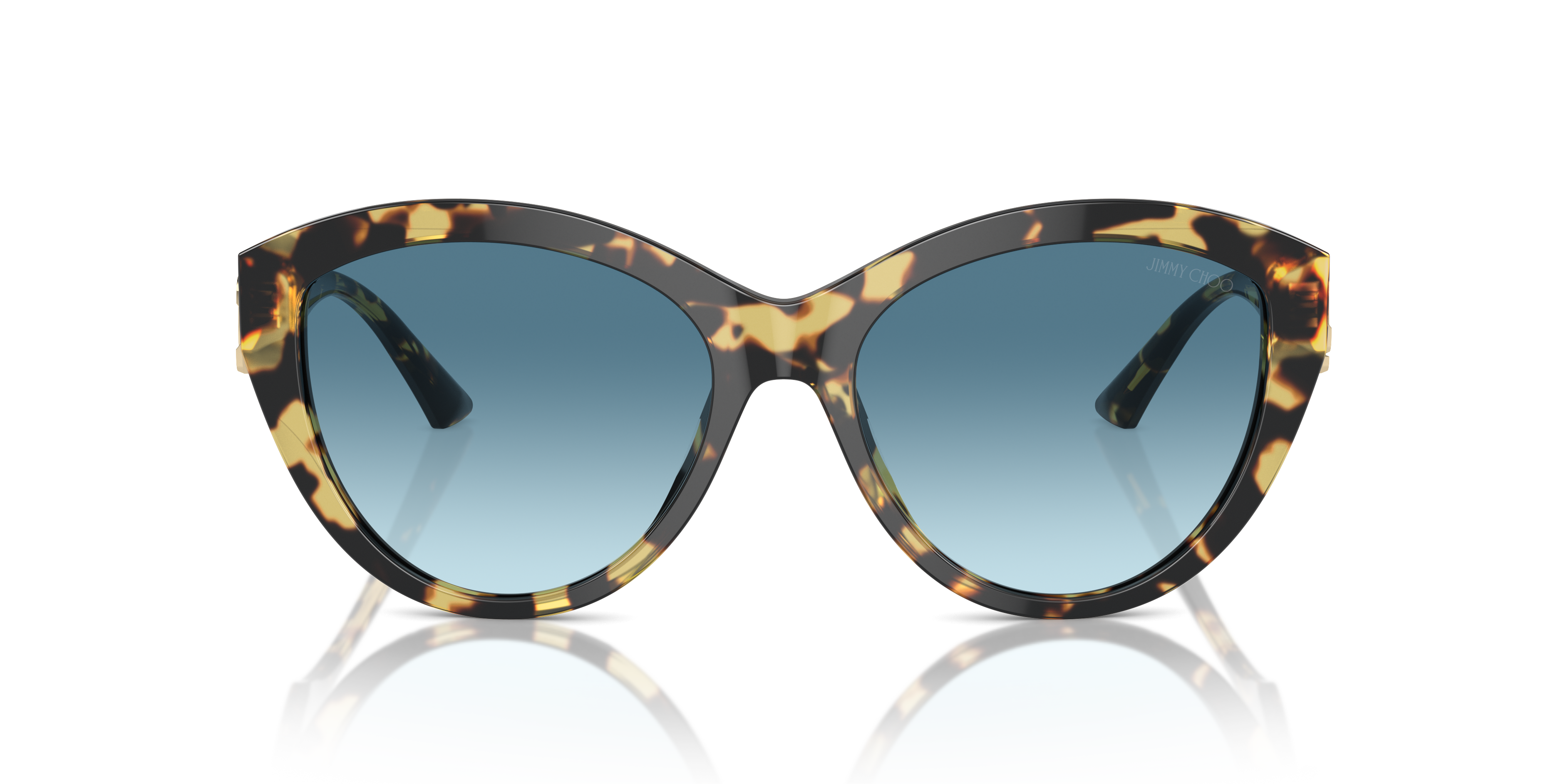 JIMMY CHOO JC5007 500419 55