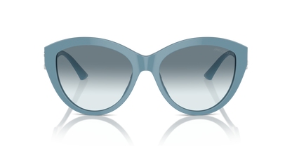 JIMMY CHOO JC5007 501219 55