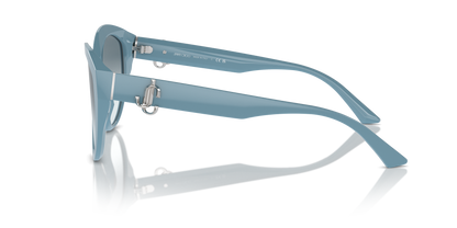 JIMMY CHOO JC5007 501219 55