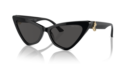 JIMMY CHOO JC5008 500087 55