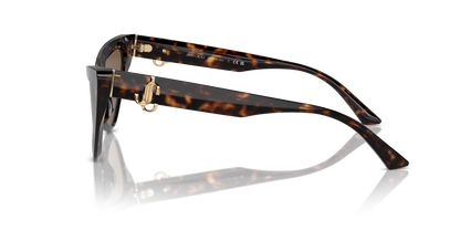 JIMMY CHOO JC5008 500273 55