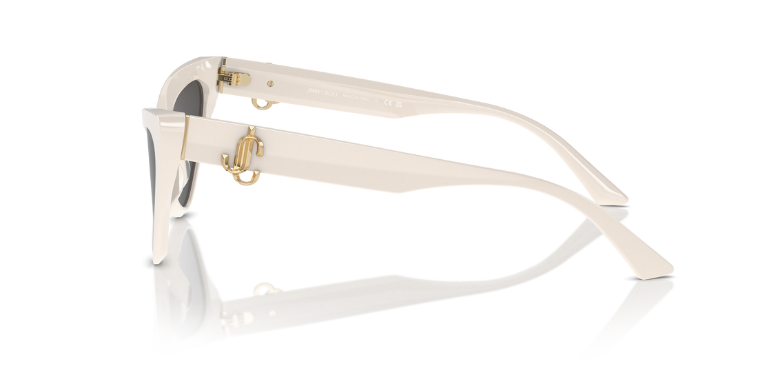 JIMMY CHOO JC5008 500887 55