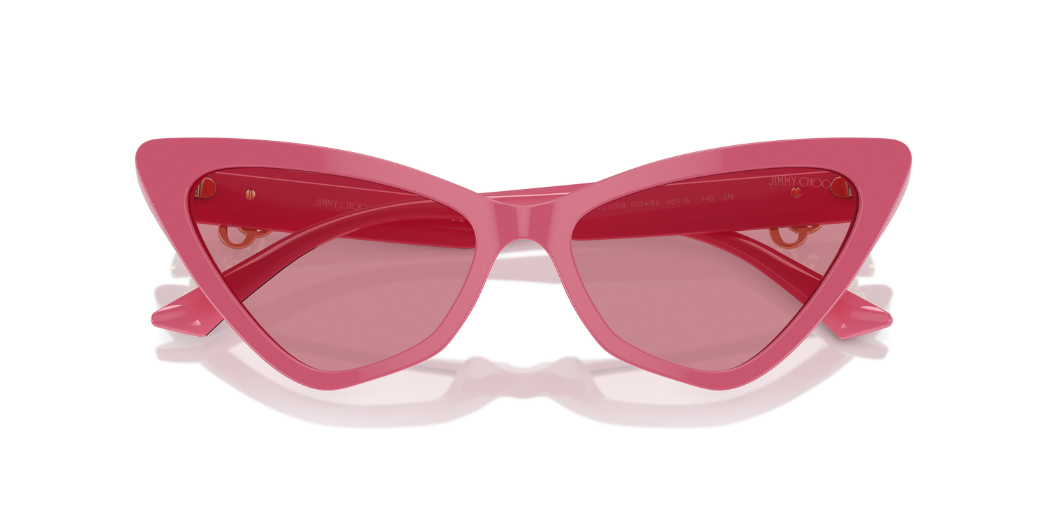 JIMMY CHOO JC5008 502484 55