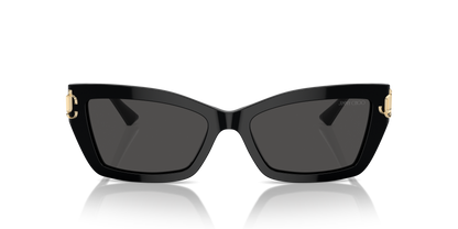 JIMMY CHOO JC5011U 500087 55