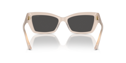 JIMMY CHOO JC5011U 502587 55