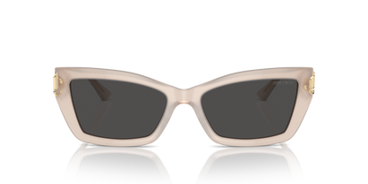 JIMMY CHOO JC5011U 502587 55