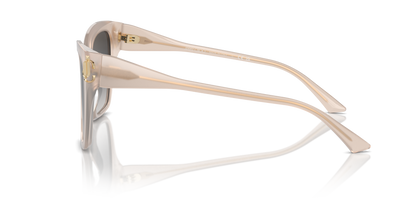 JIMMY CHOO JC5012 50258G 54