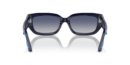 JIMMY CHOO JC5017 50164L 55