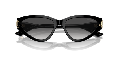 JIMMY CHOO JC5019 50008G 55