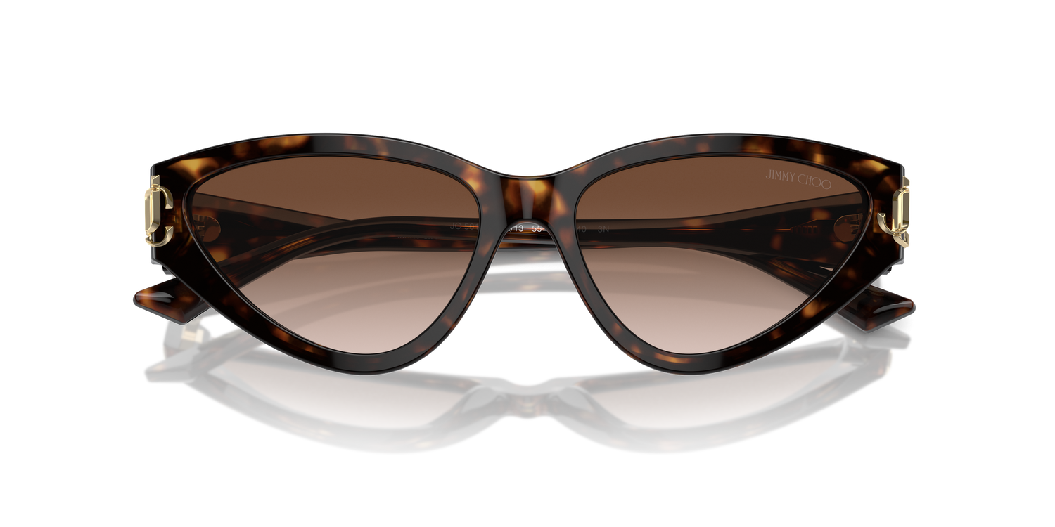 JIMMY CHOO JC5019 500213 55