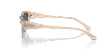 JIMMY CHOO JC5019 50258G 55