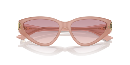 JIMMY CHOO JC5019 502768 55