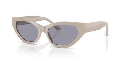 JIMMY CHOO JC5022B 503380 55