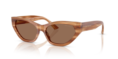 JIMMY CHOO JC5022B 505573 55