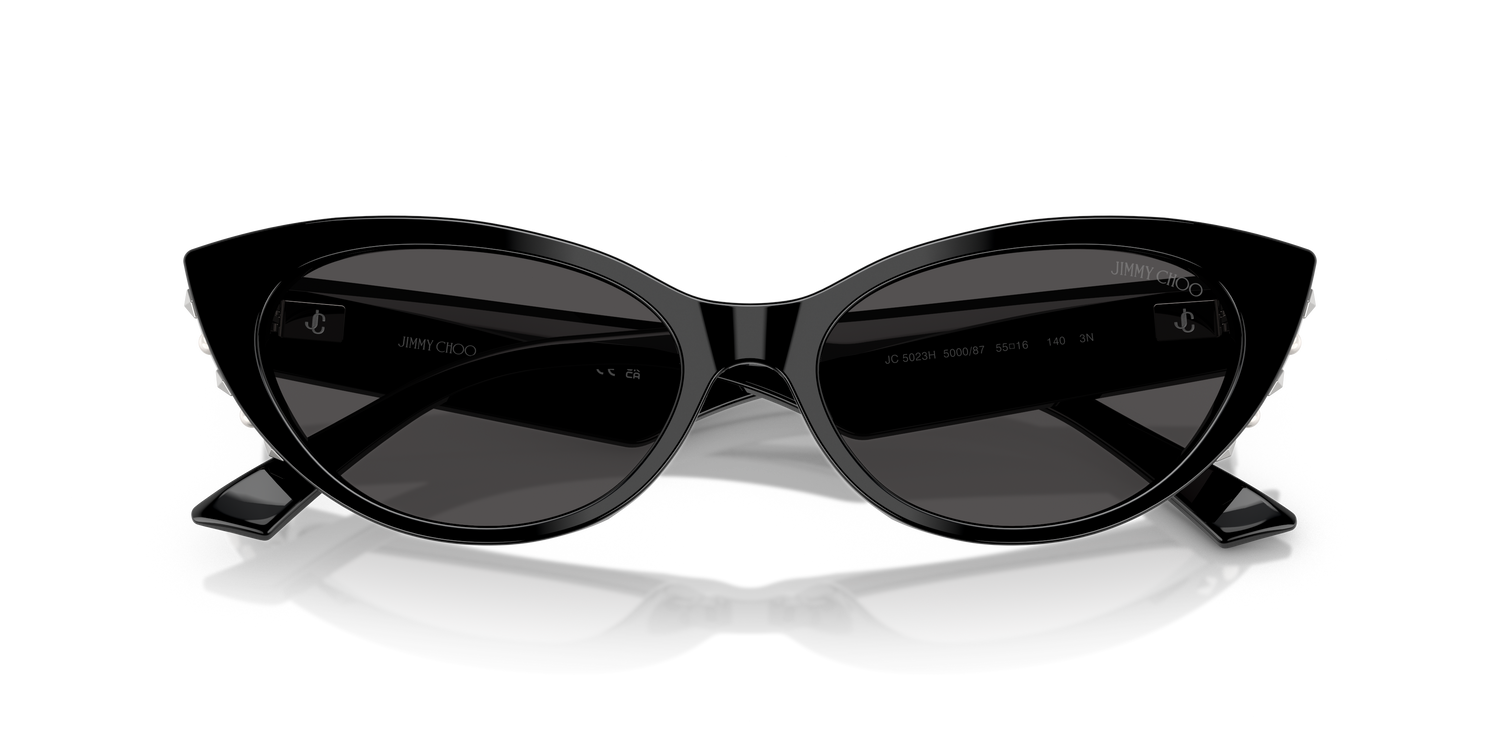 JIMMY CHOO JC5023H 500087 55