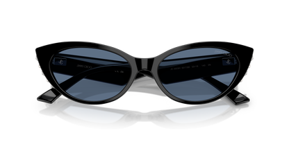 JIMMY CHOO JC5023H 501780 55