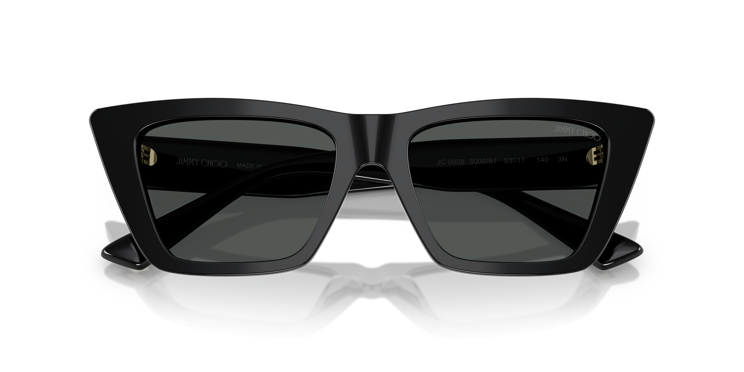 JIMMY CHOO JC5028 500087 53