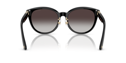 JIMMY CHOO JC5032D 500086 55