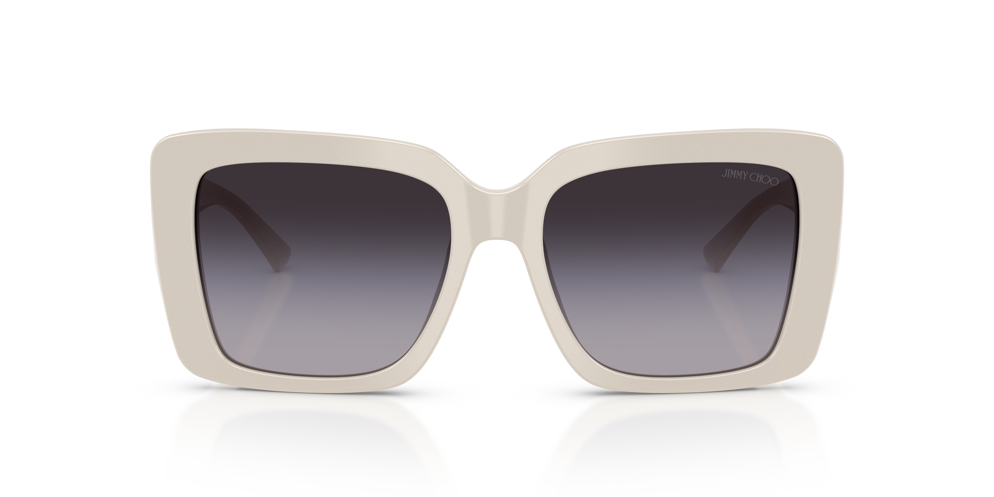 JIMMY CHOO JC5042 50088G 54