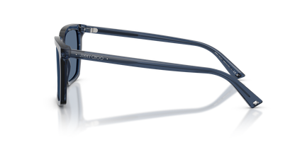 JIMMY CHOO JC5051 503580 55