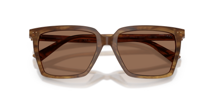 JIMMY CHOO JC5051 508573 55