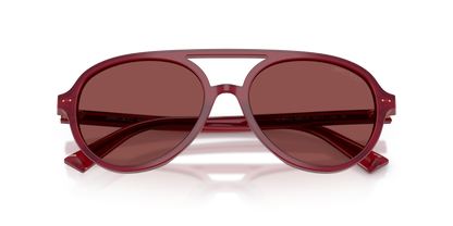 JIMMY CHOO JC5055U 508175 55