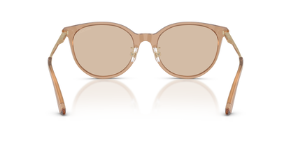 JIMMY CHOO JC5056JD 507693 54