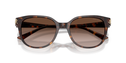 JIMMY CHOO JC5057D 500213 55