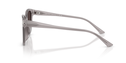 JIMMY CHOO JC5057D 50968G 55