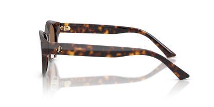 JIMMY CHOO JC5064D 500273 55