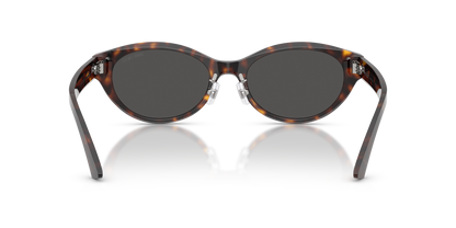 JIMMY CHOO JC5064D 500287 55