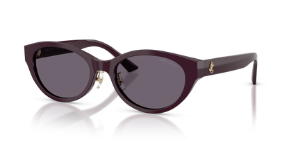 JIMMY CHOO JC5064D 50751A 55