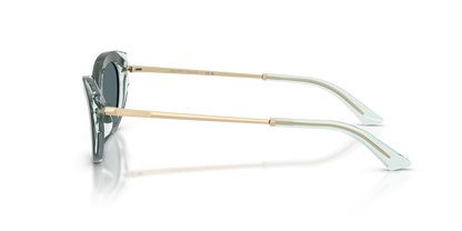 JIMMY CHOO JC5065U 510487 54