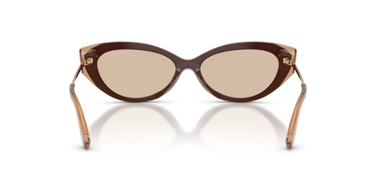 JIMMY CHOO JC5065U 510593 54