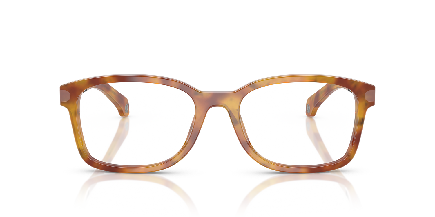 MONCLER ME2006 3011 54