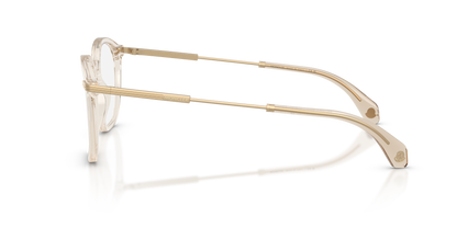 MONCLER ME2017 3003 48