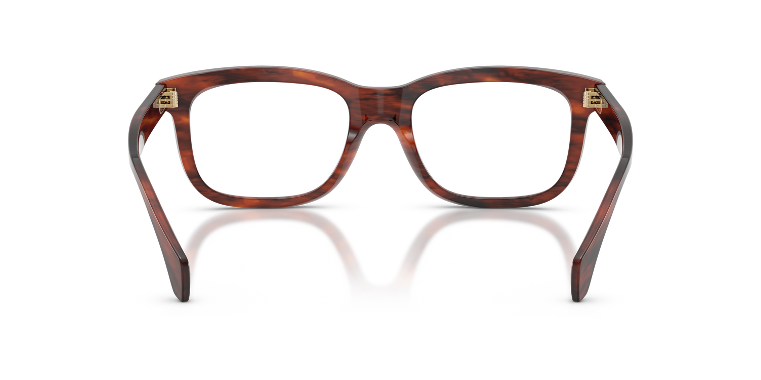 MONCLER ME2019 3034 52