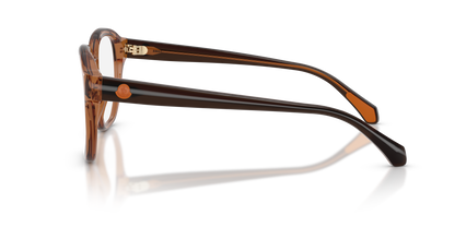 MONCLER ME2027 3017 53