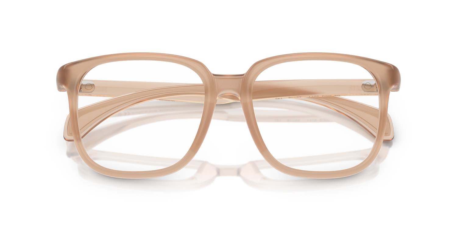 MONCLER ME3003 5011 55