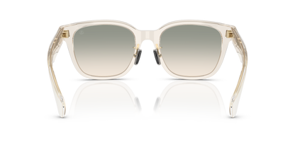 MONCLER ME6002D METROPE 30032C 54