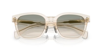 MONCLER ME6002D METROPE 30032C 54