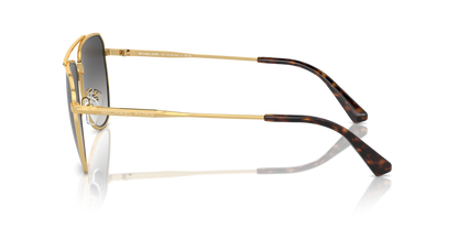 MICHAEL KORS MK1155 WHISTLER 18968G 58