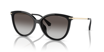 MICHAEL KORS MK2184U DUPONT 30058G 58