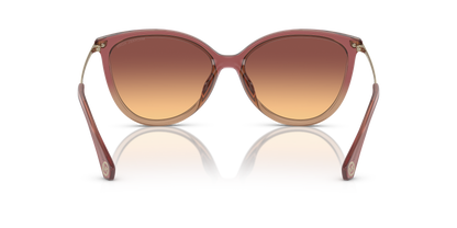 MICHAEL KORS MK2184U DUPONT 325678 58