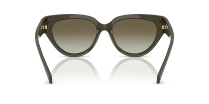 MICHAEL KORS MK2241U BOCA RATON 39023M 55